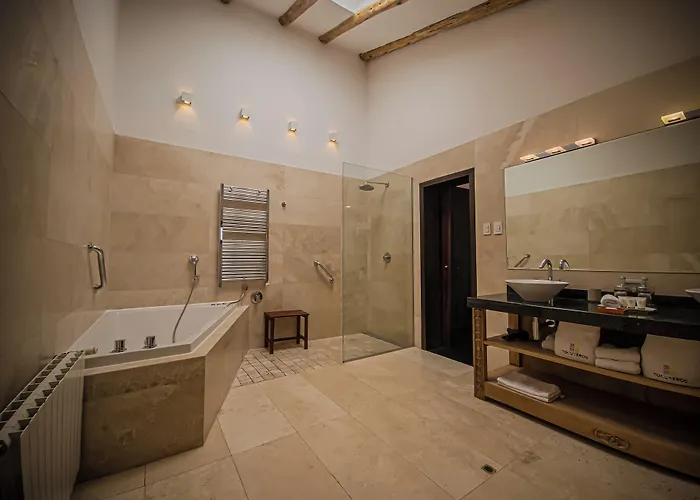 ホテル Tocuyeros Boutique 4*